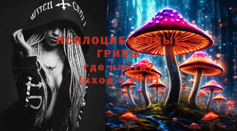 Галлюциногенные грибы Psilocybe  закладки  Каменка 